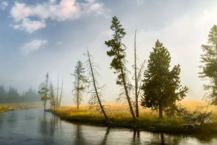 Framed Print : Trees and mist at sunrise along Firehole River, , Upper Geyser Basin, Yellowstone National Park Framed Print : Trees and mist at sunrise along Firehole River, , Upper Geyser Basin, Yellowstone National Park