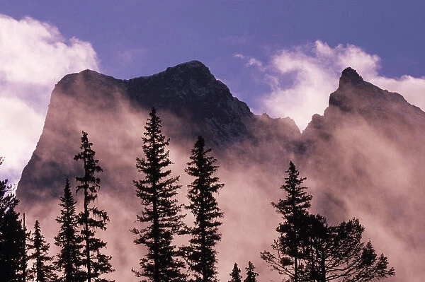 Trees silhouetted against mist and mountains at sunrise, Yoho National Park, British Columbia