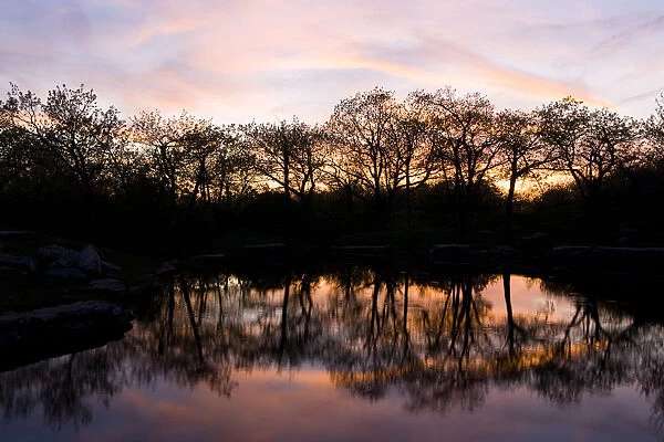 Trees and sunset sky reflections on a pond on Mount Wachusett. Mount Wachusett State Paek
