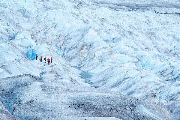 Trekking, Mendenhall Glacier, Juneau, Alaska, USA