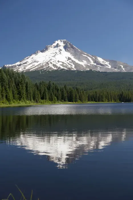 Framed Print : Trillium Lake, Mt. Hood National Forest, Mt. Hood in the background, Oregon, USA Framed Print : Trillium Lake, Mt. Hood National Forest, Mt. Hood in the background, Oregon, USA