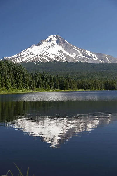 Trillium Lake, Mt. Hood National Forest, Mt. Hood in the background, Oregon, USA