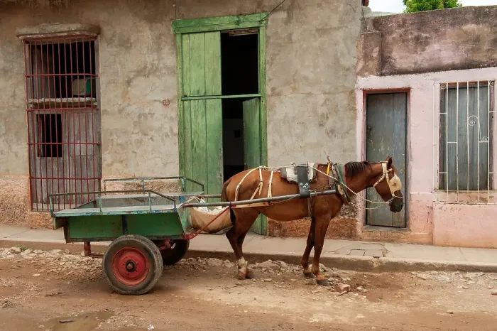 Framed Print : Trinidad, Cuba. An old horse in the streets of Trinidad Framed Print : Trinidad, Cuba. An old horse in the streets of Trinidad