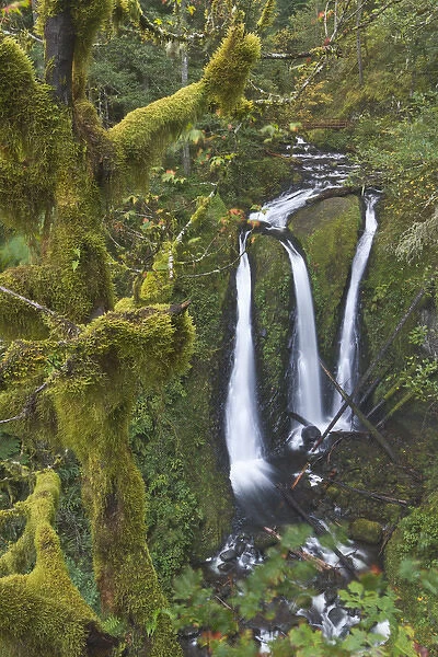 Triple Falls on Oneonta Creek, Columbia River Gorge, Oregon