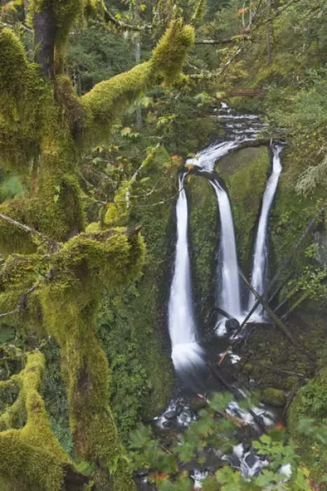 Framed Print : Triple Falls on Oneonta Creek, Columbia River Gorge, Oregon Framed Print : Triple Falls on Oneonta Creek, Columbia River Gorge, Oregon