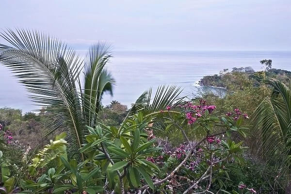 Tropical foliage and ocean views along the wildlife rich coastline of the Osa peninsula