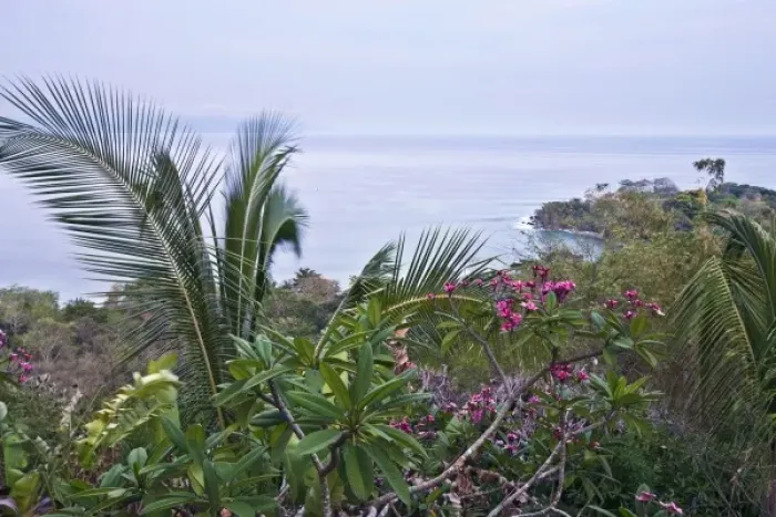 Framed Print : Tropical foliage and ocean views along the wildlife rich coastline of the Osa peninsula