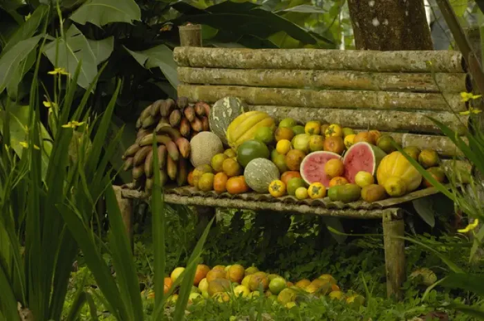 Framed Print : Tropical fruit ECUADOR. South America Framed Print : Tropical fruit ECUADOR. South America