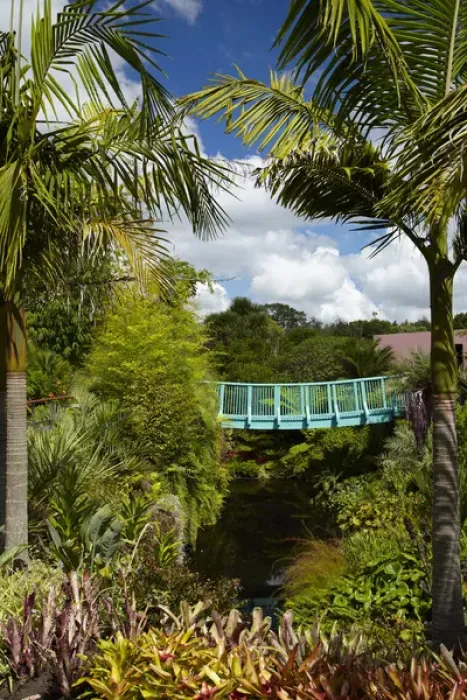 Framed Print : Tropical Garden, Hamilton Gardens, Waikato, North Island, New Zealand Framed Print : Tropical Garden, Hamilton Gardens, Waikato, North Island, New Zealand