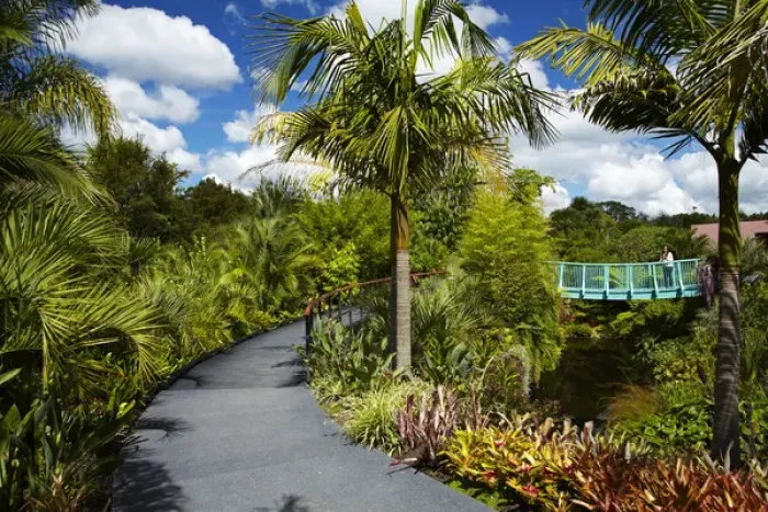 Framed Print : Tropical Garden, Hamilton Gardens, Waikato, North Island, New Zealand