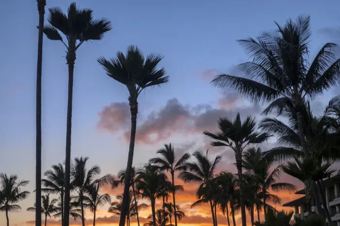 Framed Print : Tropical sunset Framed Print : Tropical sunset