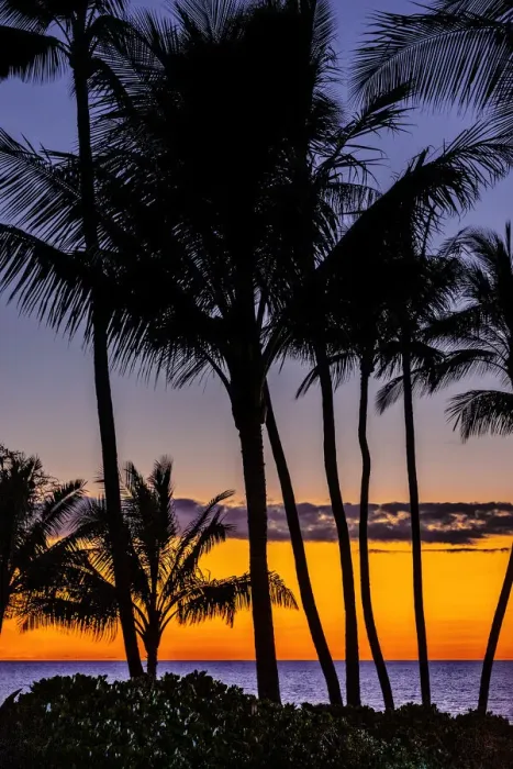 Framed Print : Tropical Sunset Framed Print : Tropical Sunset