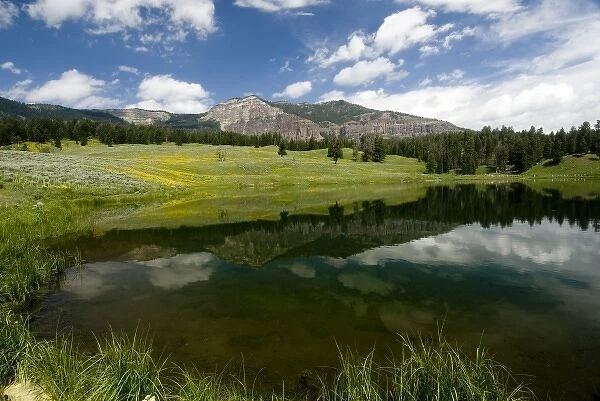 Trout Lake in Yellowstone National Park