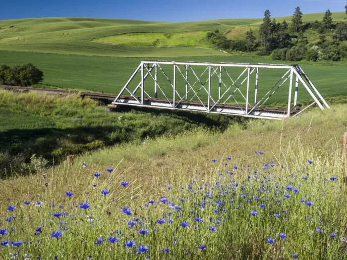 Framed Print : Truss bridge over the south fork of the Palouse River with wildflowers in the foreground