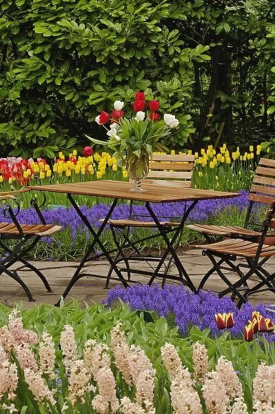 Tulips of table