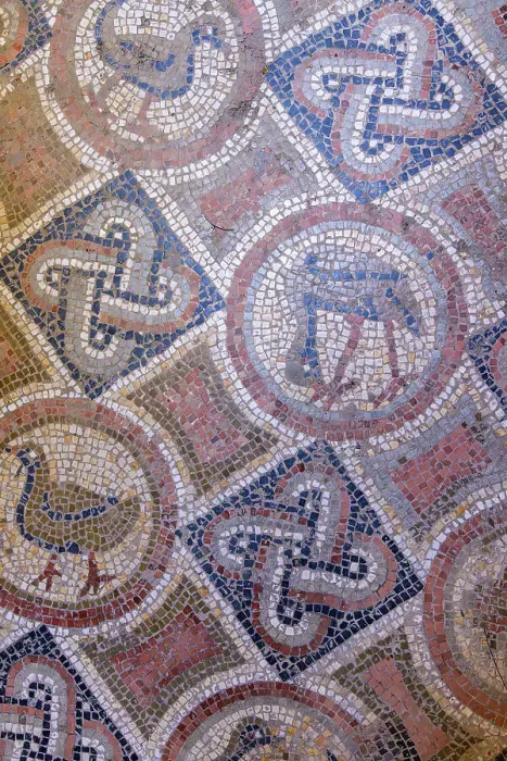 Framed Print : Tunis, Tunisia. Tile mosaic floor at the Baths of Antoninus in Carthage Framed Print : Tunis, Tunisia. Tile mosaic floor at the Baths of Antoninus in Carthage