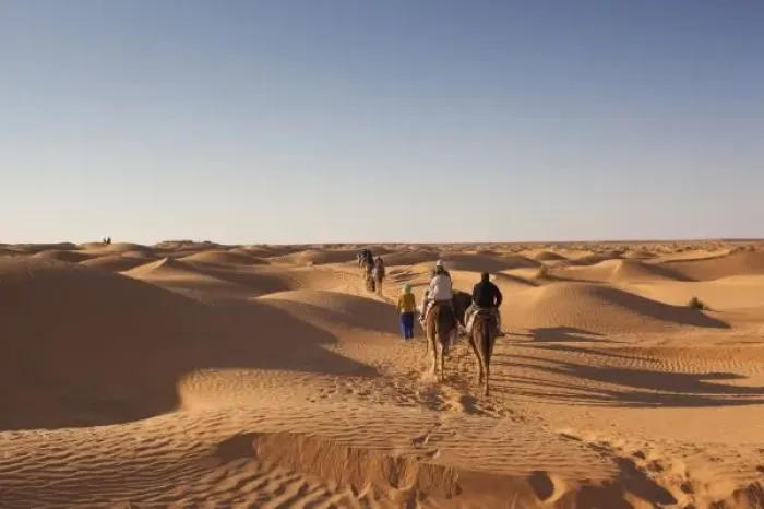 Framed Print : Tunisia, Ksour Area, Ksar Ghilane, Grand Erg Oriental Desert, camel caravan