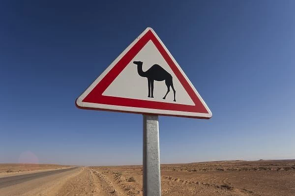Tunisia, Ksour Area, Ksar Ghilane, Grand Erg Oriental Desert, oil pipeline road