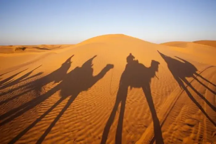 Framed Print : Tunisia, Ksour Area, Ksar Ghilane, Grand Erg Oriental Desert, camel caravan, sunset Framed Print : Tunisia, Ksour Area, Ksar Ghilane, Grand Erg Oriental Desert, camel caravan, sunset