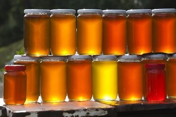 Tunisia, Northern Tunisia, Nefza, local honey