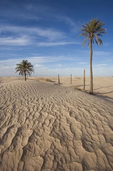 Tunisia, Sahara Desert, Douz, Great Dune, dawn