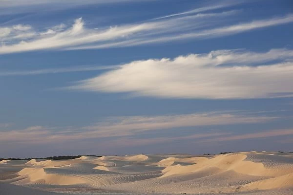 Tunisia, Sahara Desert, Douz, Great Dune, dusk
