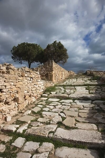 Tunisia, Tunis, Carthage, ruins of Roman-era Villas