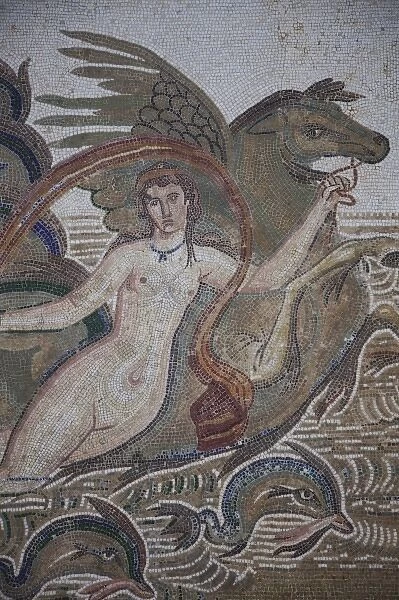 Tunisia, Tunisian Central Coast, El Jem, El Jem Museum, Roman-era mosaic