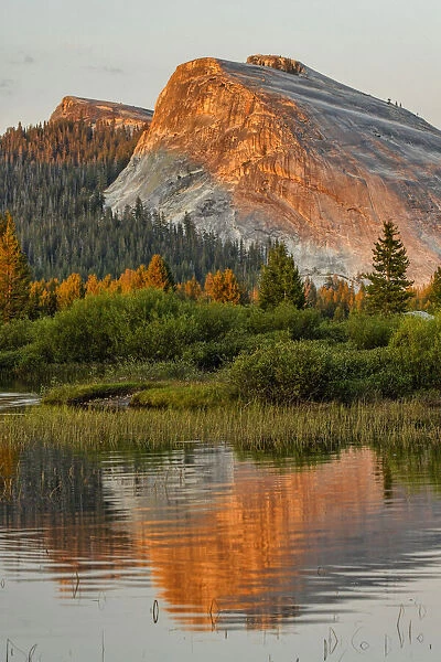 Tuolumne Meadows and Lembert Dome reflected in Tuolumne River, Yosemite National Park, California at sunset