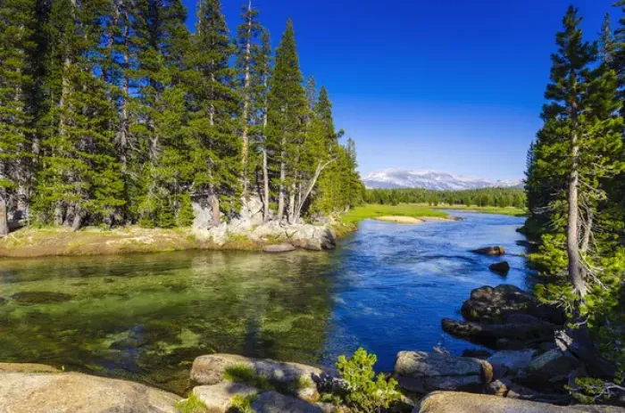 Framed Print : The Tuolumne River, Tuolumne Meadows, Yosemite National Park, California USA Framed Print : The Tuolumne River, Tuolumne Meadows, Yosemite National Park, California USA