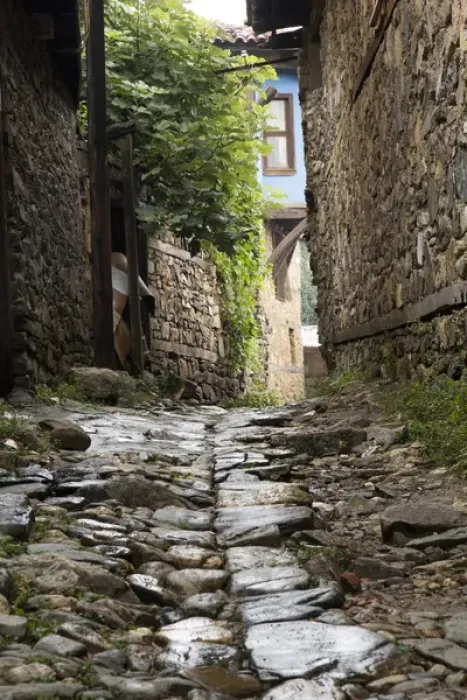 Framed Print : Turkey, Bursa, The 700-year-old village of Cumalikizik is significant site of many
