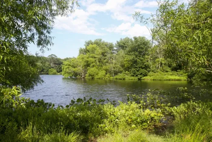 Framed Print : Turkey Swamp Park, Freehold, New Jersey, United States, North America