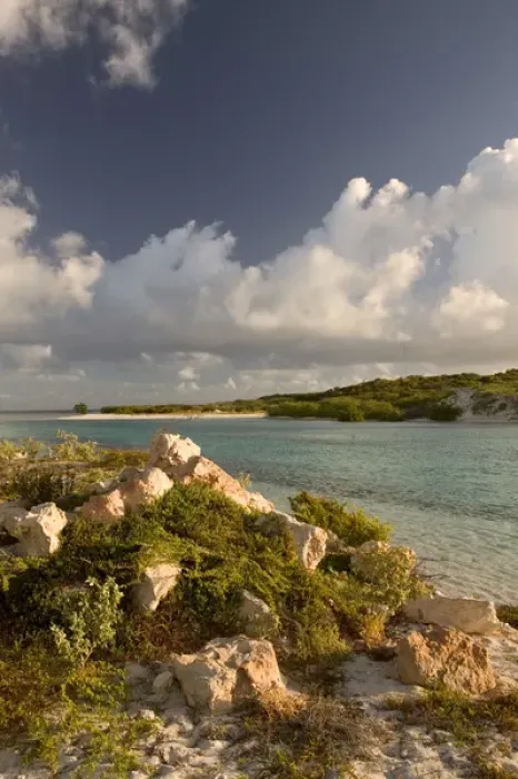 Framed Print : TURKS & CAICOS, Grand Turk Island, Cockburn Town North Creek, early morning Framed Print : TURKS & CAICOS, Grand Turk Island, Cockburn Town North Creek, early morning