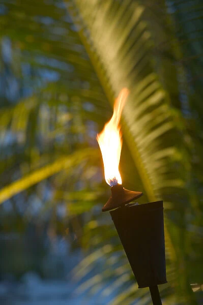 TURKS & CAICOS, Providenciales Island, Turtle Cove Beach torch and palm, evening