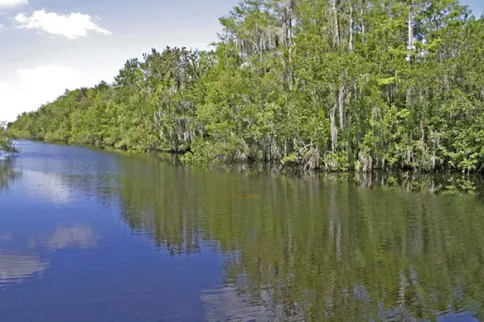 Framed Print : Turner River. Big Cypress National Preserve, Florida