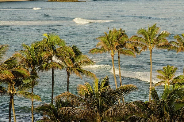 Turtle Bay Resort, North Shore, Oahu, Hawaii