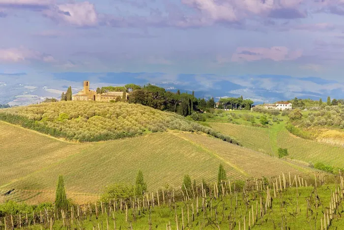 Framed Print : Tuscan landscape with vineyards and olive groves. Tuscany, Italy Framed Print : Tuscan landscape with vineyards and olive groves. Tuscany, Italy