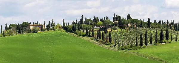 Tuscany landscape with farm, cypress and olive trees. Tuscany, Italy