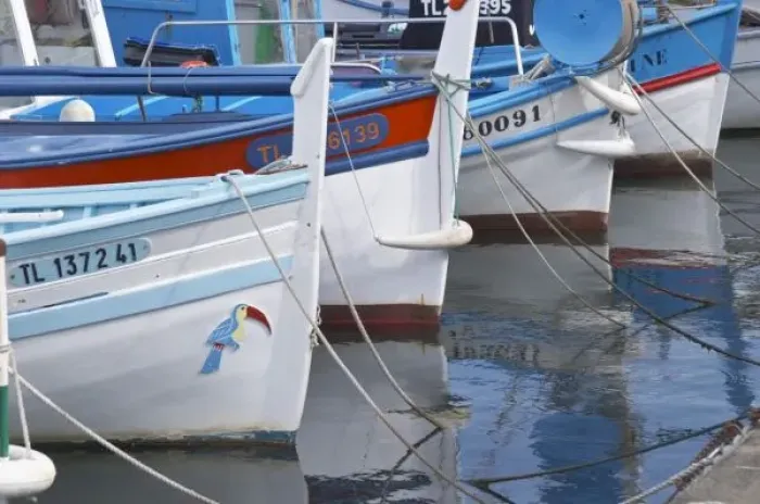 Framed Print : Typical Provencal fishing boats painted in bright colours white, blue, green red yellow Framed Print : Typical Provencal fishing boats painted in bright colours white, blue, green red yellow