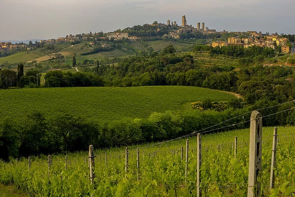 Typical Rolling Hills Landscape. San Gimignano Skyline. Tuscany. Italy