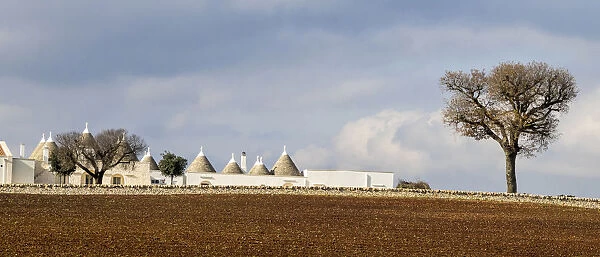 Several typical Trulli homes outside of the town of Alberobello