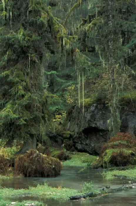 Framed Print : U. S. A. Alaska, Inside Passage Tongass National Forest near Haines