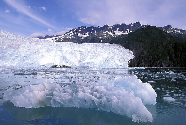 U. S. A. Alaska, Kenai Fjords National Park Icebergs float past glacier