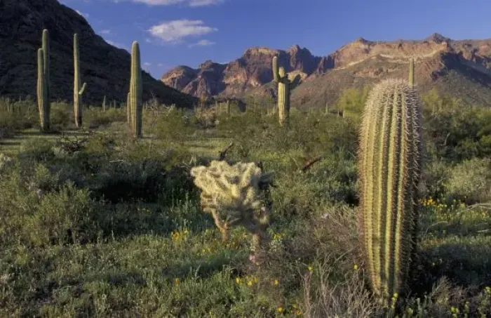 Framed Print : U. S. A. Arizona