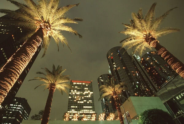 U. S. A. California, Los Angeles Palm trees at night in Century Plaza