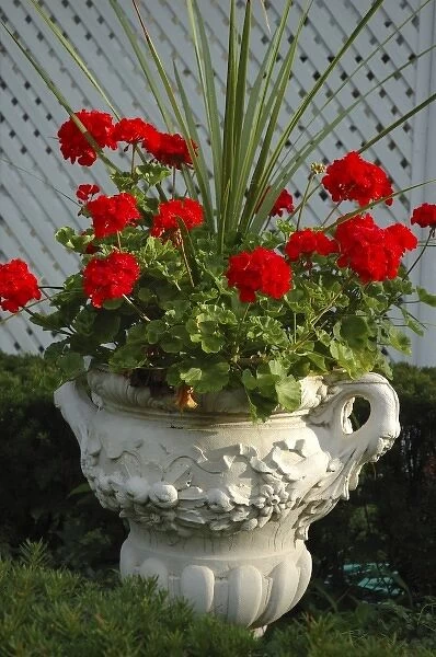 U. S. A. New York, Saratoga Springs, geraniums in urn, historic district