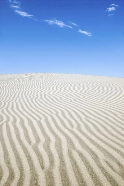 U. S. A. Texas. Monahans Sandhills State Park in the Big Bend area of Texas, situated
