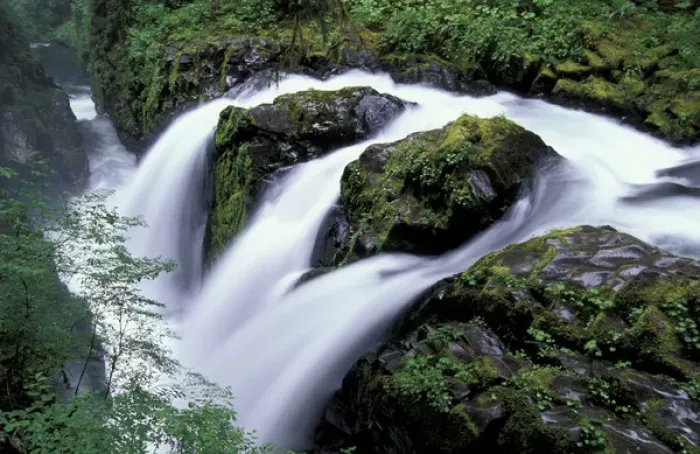 Framed Print : U. S. A. Washington, Olympic Nationial Park Sol Duc Falls Note: May not be sold