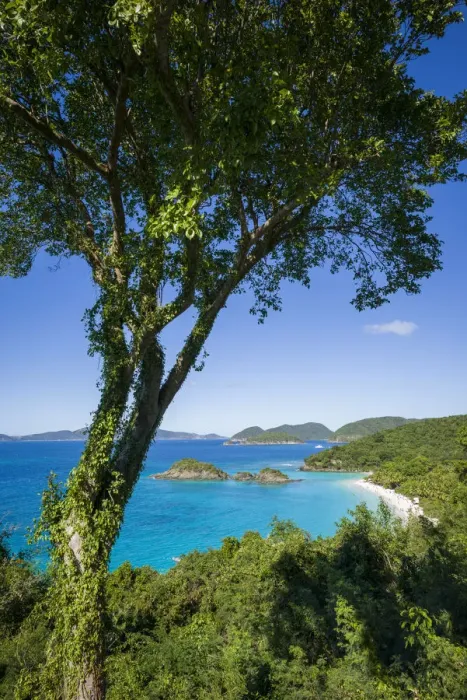 Framed Print : U. S. Virgin Islands, St. John. Trunk Bay and beach