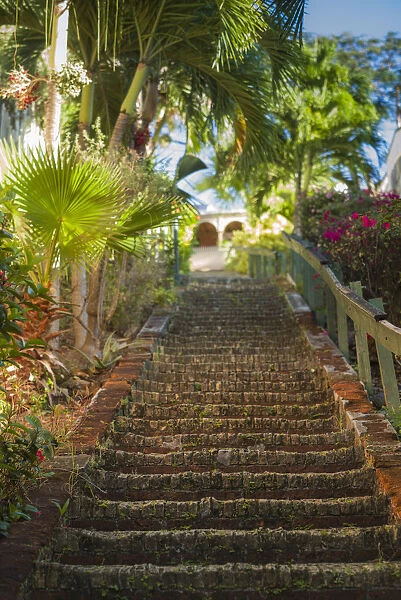 U. S. Virgin Islands, St. Thomas. Charlotte Amalie, The 99 Steps